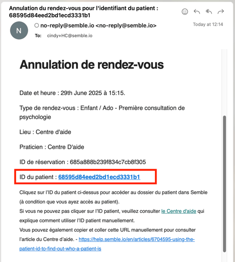 Screenshot 2025-06-24 at 12.16.03